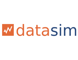 Logo_datasim_260x200